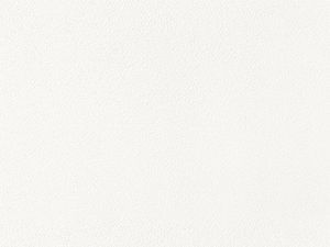 CK311 | blanc