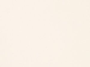 CK312 | blanc magnolia